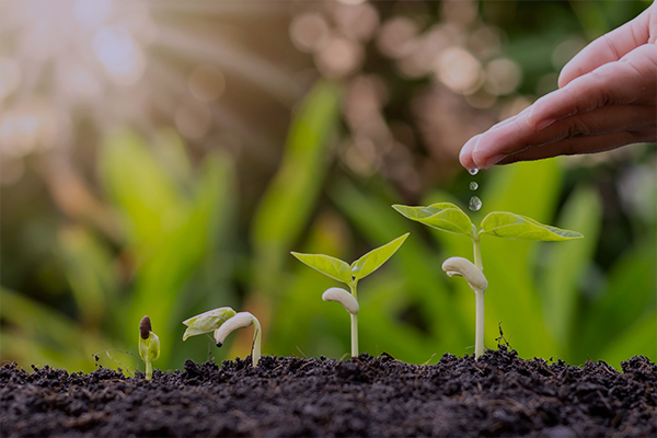 No Minimum GWP Commitment for Brokers at NBS